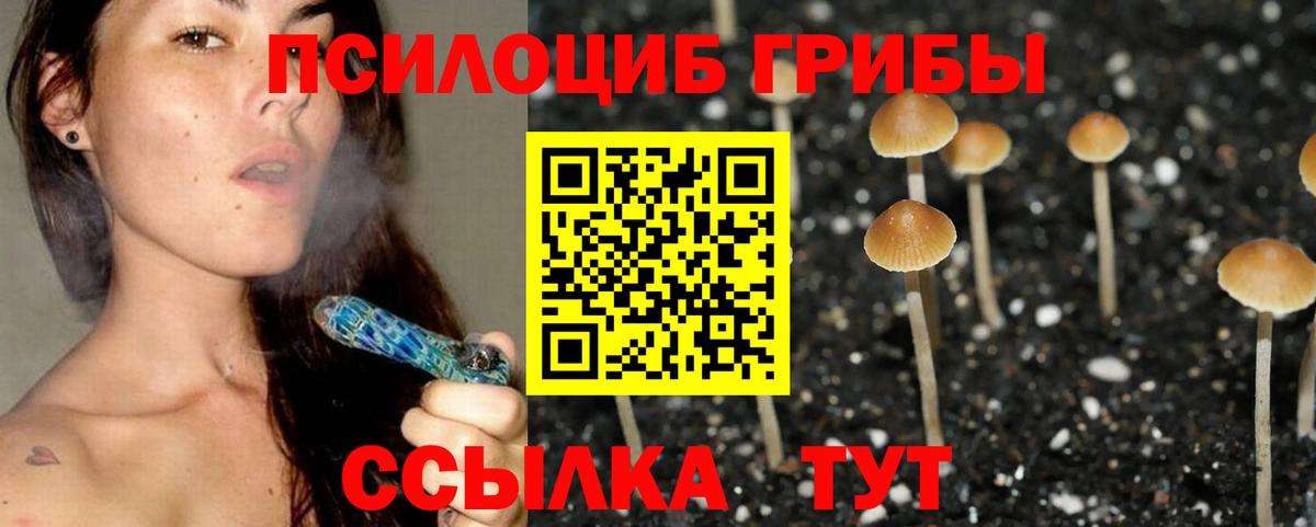 Галлюциногенные грибы Cubensis Саранск