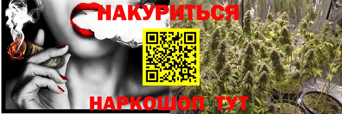 Конопля гибрид  Вход с VPN  Саранск  Бошки марихуана план 